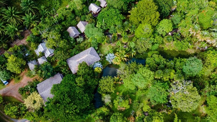 Wareerak Hot Spring & Wellness